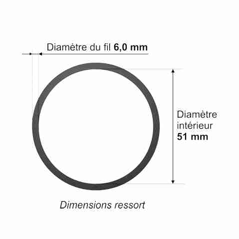 Ressort d'extension pour porte de garage Ideal Security, acier, capacité de  140 lb, 25 po à 67 po L., bleu SK7155